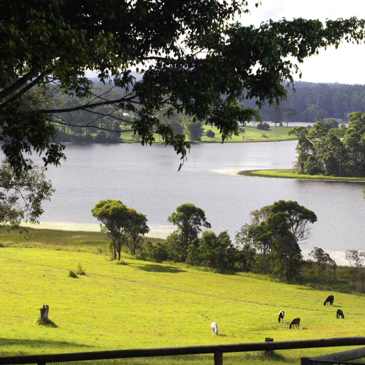 “Barellan” on Lake MacDonald Villa Prestige Properties