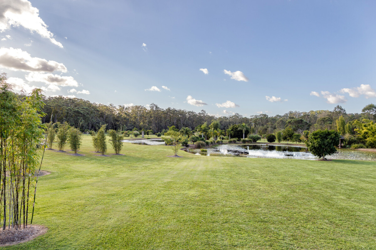 317 Darth Enderson B Ct hi res-28