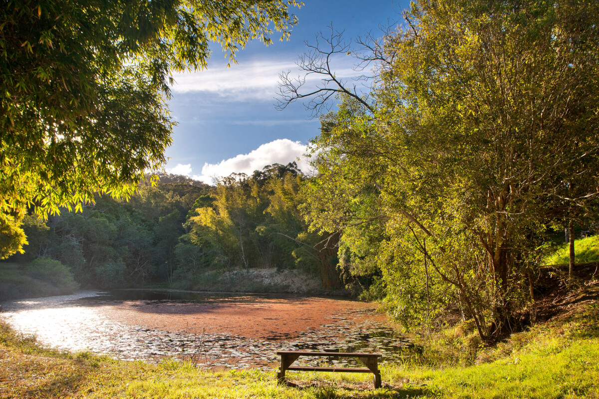 030_jaseimages_300816