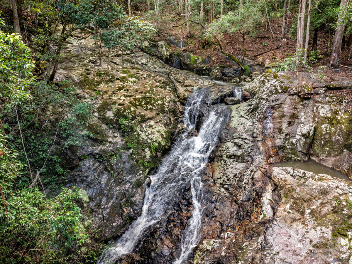 Rainforest Waterfall