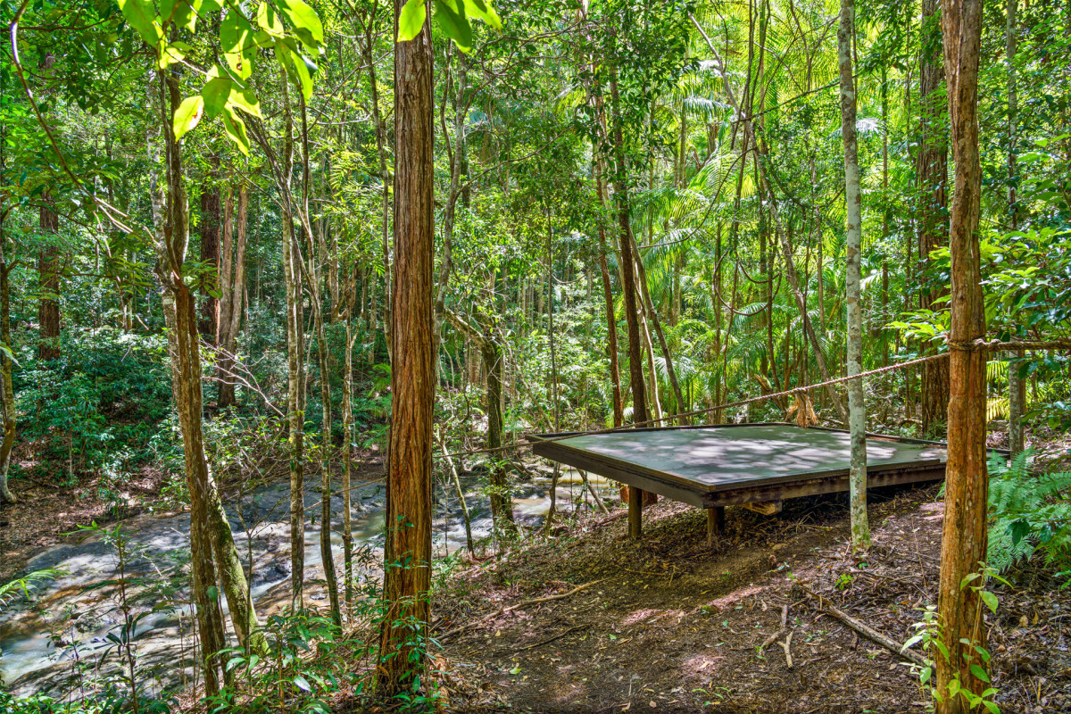 Rainforest Creek - Yoga Platform
