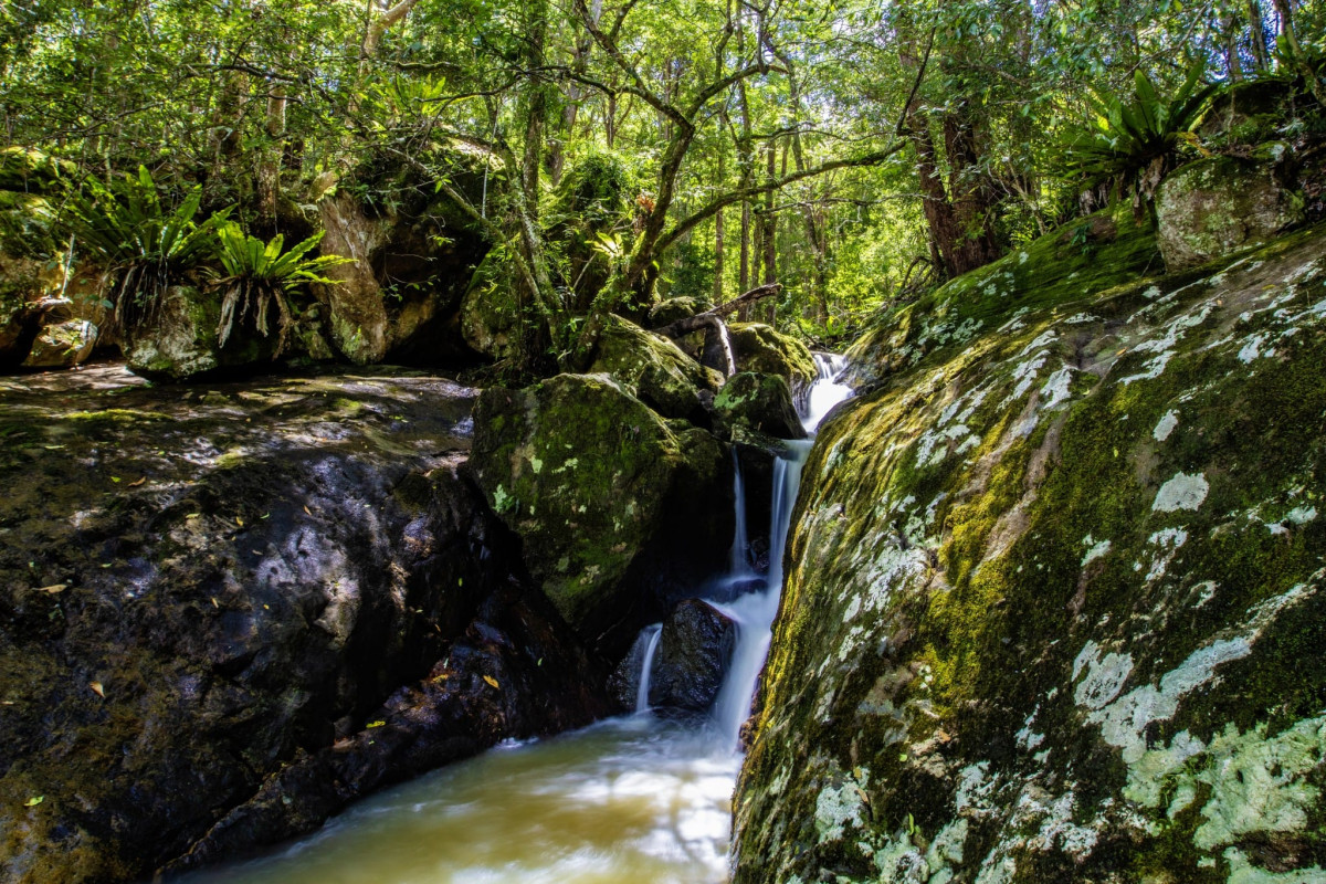 creek_2