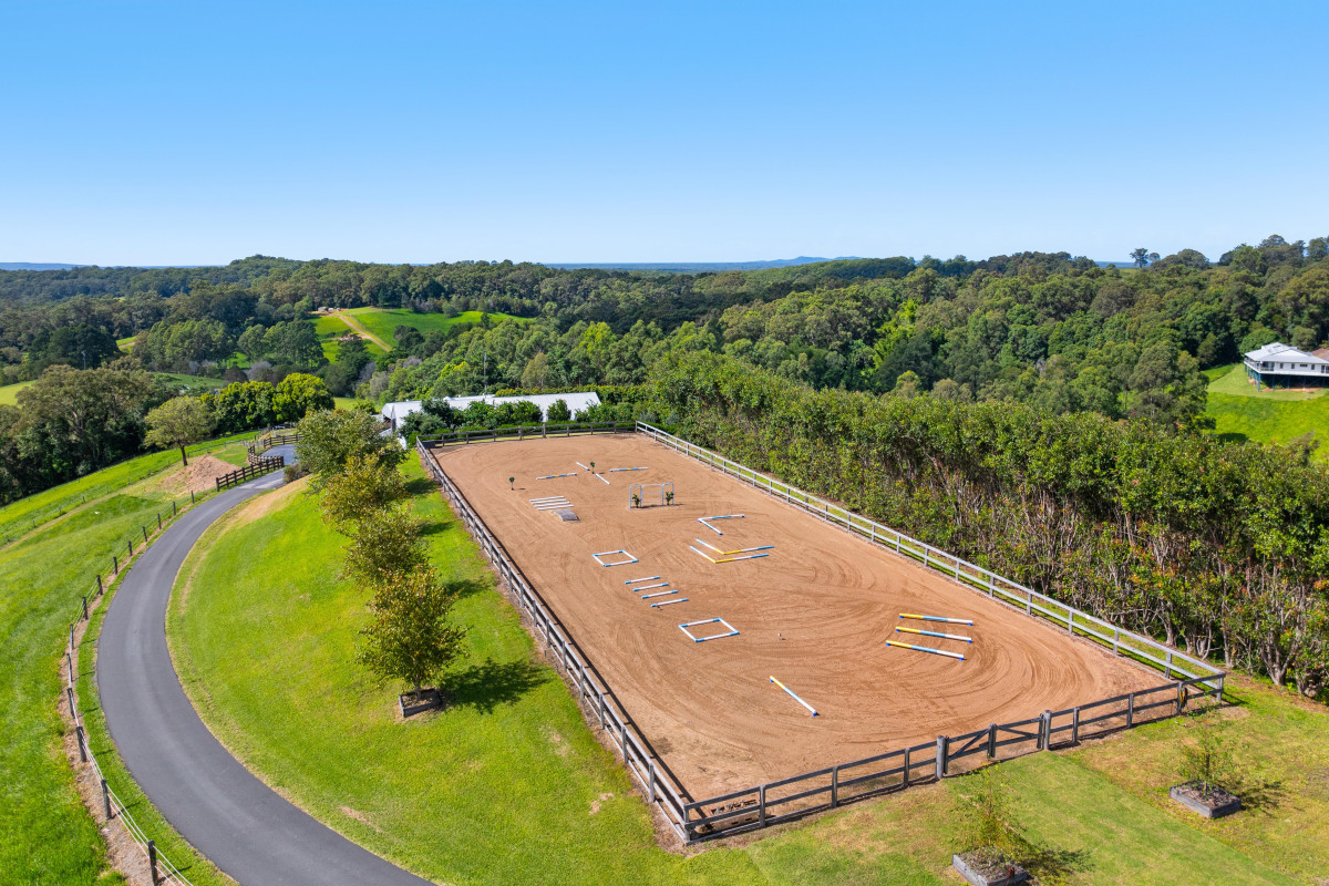 DJI_0954